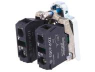ZD4PA103 контактная группа, 22мм, 2xNO, 0.55А, 125В DC