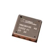 NM180100 модуль ВЧ приемопередатчика, Bluetooth, LoRa, 863МГц ~ 2.48ГГц, 22дБм, 2.8В ~ 3.6В