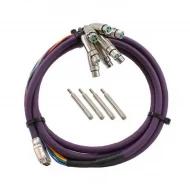 DB25M10XLRF кабель, D-Sub 25 pos Male to XLR Female (8), 3.05м, Individual