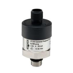 PT20-15PSIC-1-2-2-25-ST8-CC