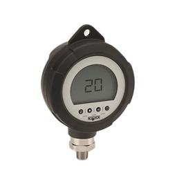 PGE20-6000PSIG-1-2-DL-RCP-ST8-CC