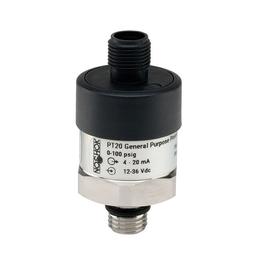 PT20-15PSIC-1-2-2-25-CC