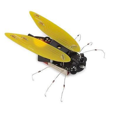 WSAK204